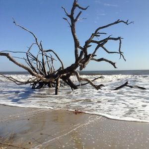 Meet your Posher, Annabel